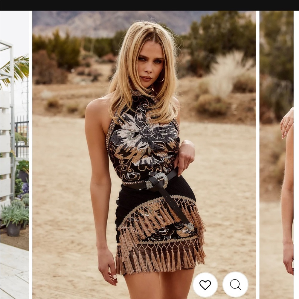 Gold Fringe Sequin Dress